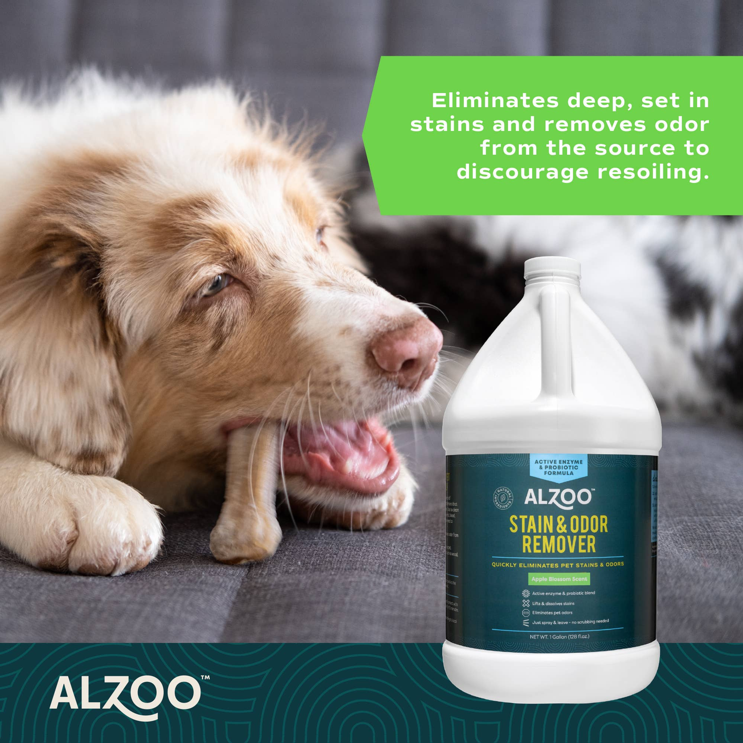 Enzyme-Powered Stain and Odor Eliminator Spray