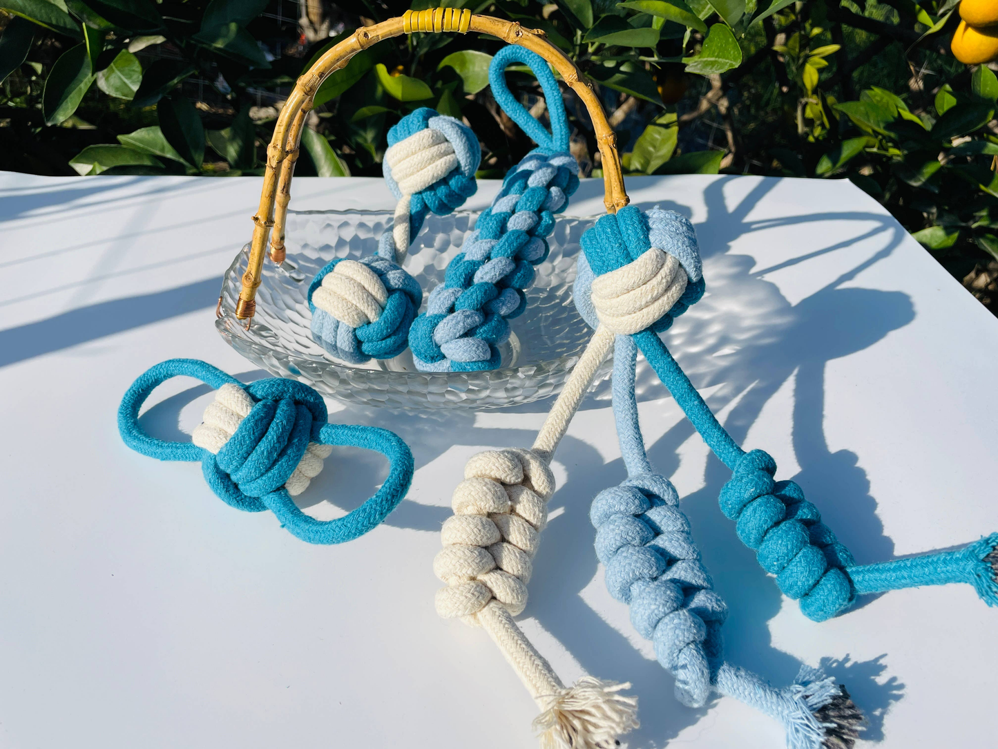 CSCORD - Eco-friendly Blue and White Rope Toys