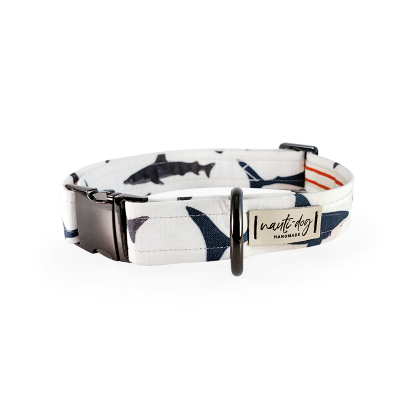 Shark! Buckle Dog Collar - Pack Of: 1