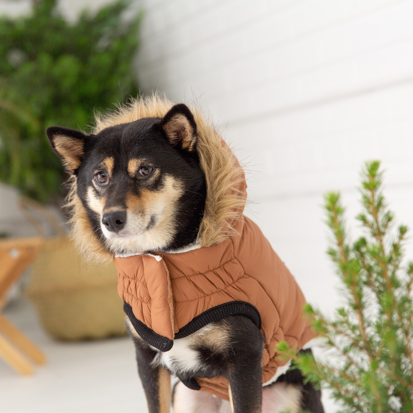 GF Pet ElastoFit Urban Dog Parka