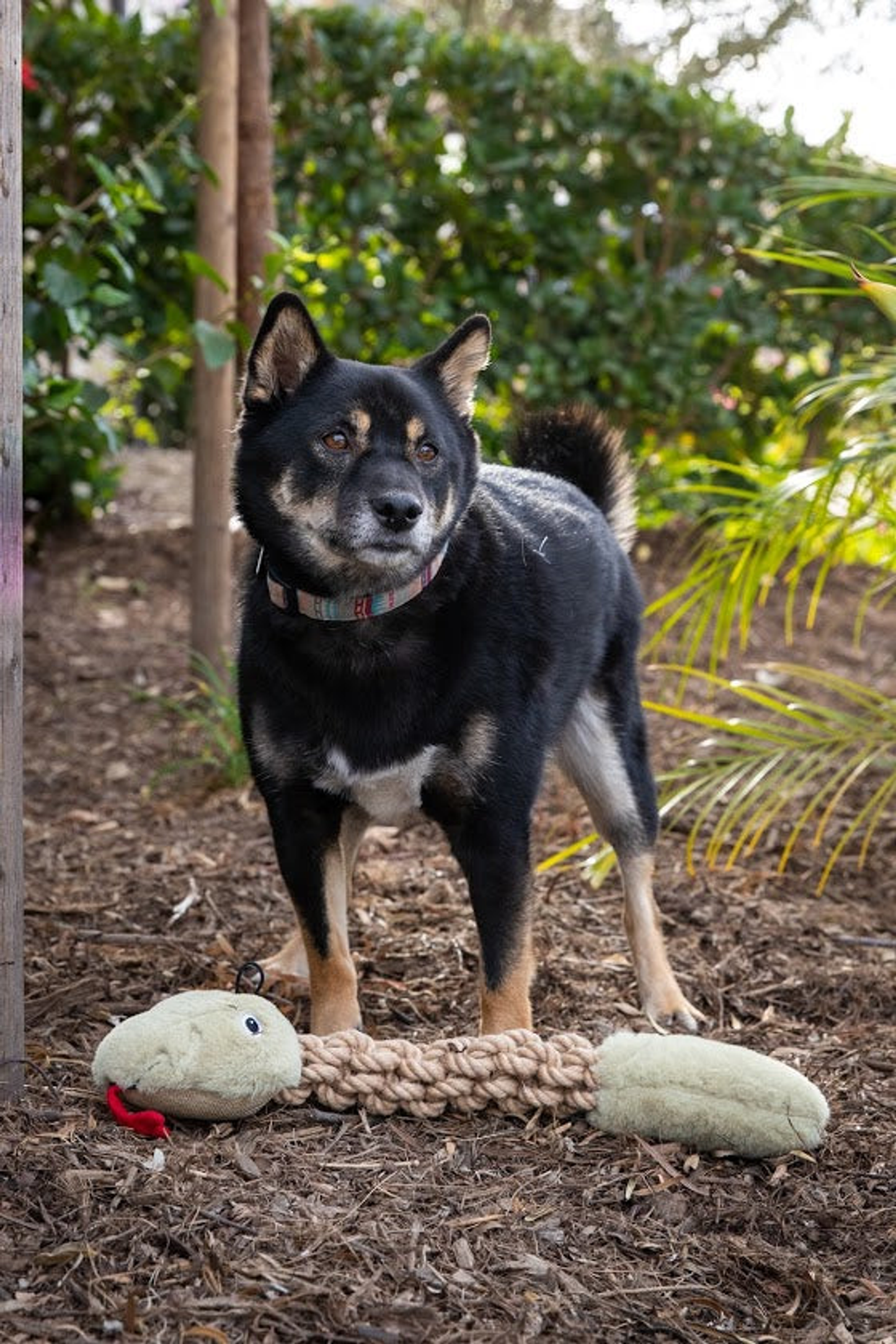 Tough Hemp Rattlesnake Pet Toy